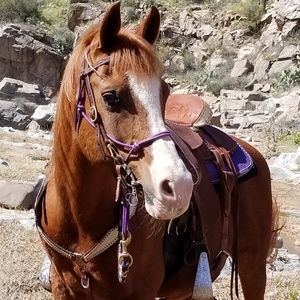 Meet your Posher, Taunya